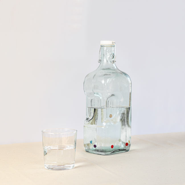 botella saludable